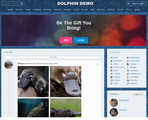 Dolphin - Free Social Networking Platform
