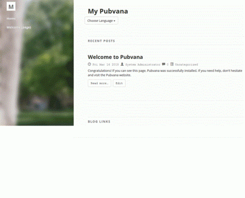 Pubvana - Blogging and Small Business CMS