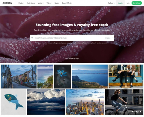 Pixabay - Free Images, Videos, Vectors and Sounds to Use Anywhere