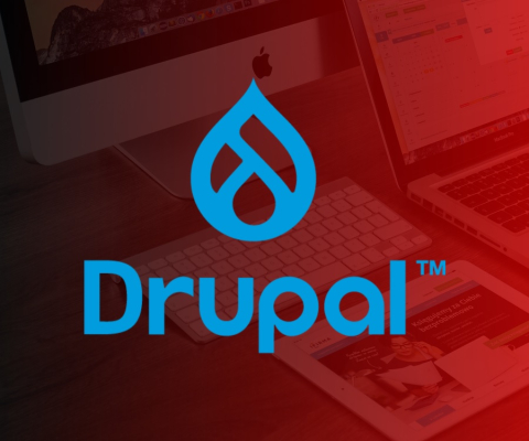 Drupal Development