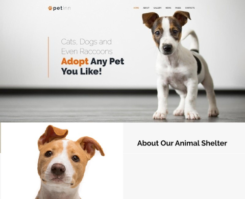 PetInn - Free Animals Charity WordPress Theme