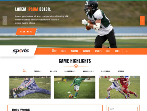 Free Sports WordPress Theme