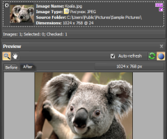 ImBatch - Free Software to Process Multiple Images at Once