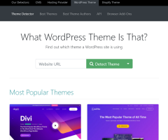 ThemeDetect - Wordpress Theme Detector Tool