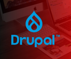 Drupal Development