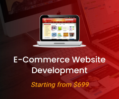 E-commerce Website Development