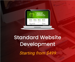 Standard Website Development