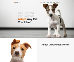 PetInn - Free Animals Charity WordPress Theme