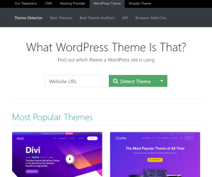 ThemeDetect - Wordpress Theme Detector Tool